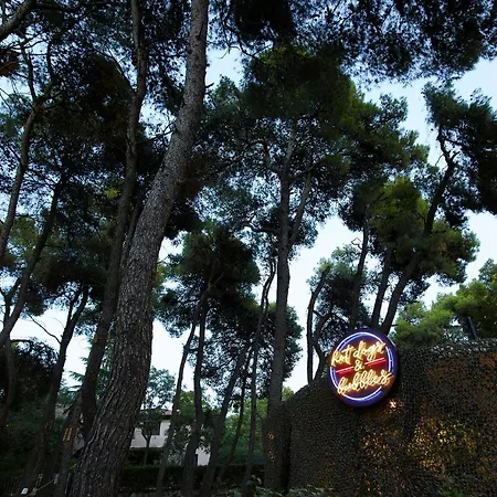 Ξενοδοχείο Domotel Kastri